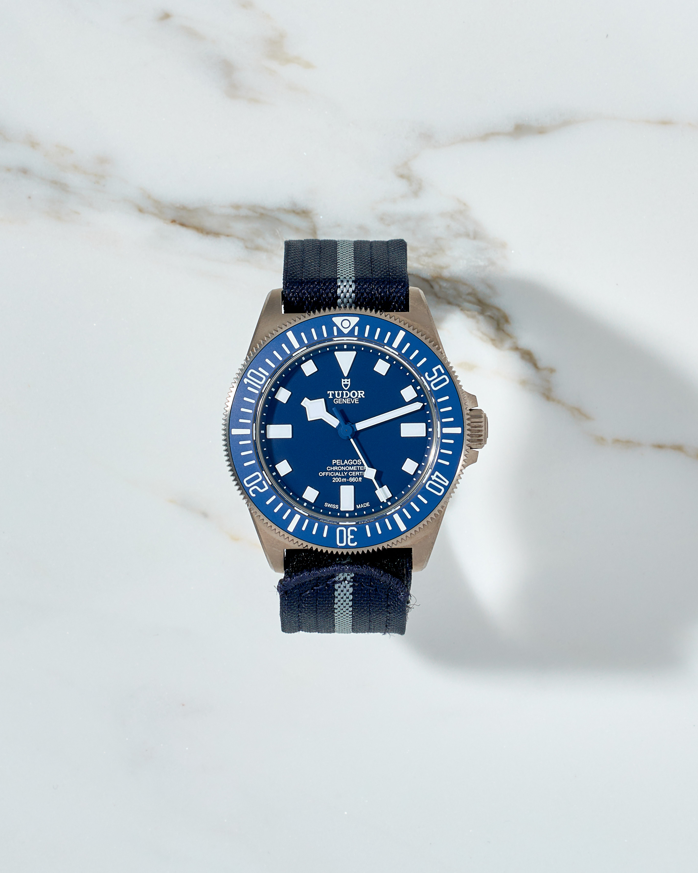 Tudor Pelagos FXD 42mm Titanium 2024 year NEW 25707 