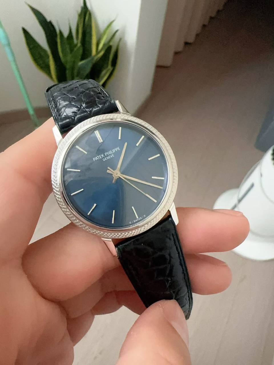 Patek Philippe Calatrava Blue Dial White Gold 3563